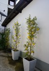 Hotel Ann Guest House