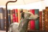 Hotel G�stehaus Meererbusch