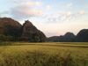 Hotel Tam Coc Mountain View Homestay