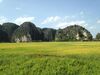 Hotel Tam Coc Mountain View Homestay