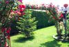 Agroturismo Casa Rural El Berrueco
