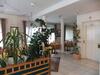 Hotel Classico