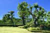 Hotel Phuwadee Resort Khao Yai