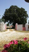 Agroturismo Masseria Gianca
