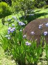 Hostal Pousada Recanto �guas Vivas