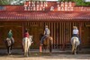 Agroturismo Linden Tree Retreat & Ranch