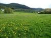 Hotel Landhaus Lenneper-f�hrt