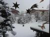 Hostal G�stehaus Eschenhof