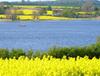 Ostsee Ferienh�user