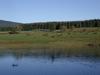 Hostal Hotel Gr�ne Tanne Mandelholz