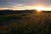 Hostal Hotel Gr�ne Tanne Mandelholz