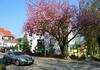 Parkhotel Am Schwanenteich