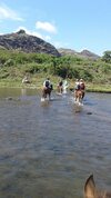 Hostal Outback Hotel Fiji