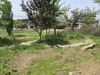 Kayabuki-house `okitei�