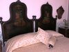 Bed & Breakfast Alexander Art Nouveau Suites