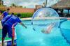 Rif�les Praia Hotel & Resort