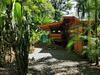 El Jardin De Playa Negra