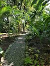 El Jardin De Playa Negra