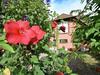 Apartment Im Rheintal Freiburg