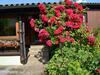 Pleasant Holiday Home In Niedereschach-kappel With Terrace