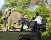Posada Bundox Safari Lodge