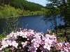 Gwernan Lake Hotel