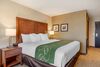 Posada Comfort Inn & Suites Schenectady - Scotia