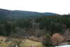 Hotel Schwarzwald-gasthof Hirsch