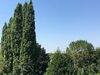 Apartamento Lkp Valenciennes