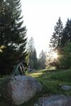 Schwarzwald- Hotel Kr�utle