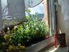 Apartment Lohr Am Schindelbachtal