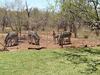 Posada Call Of The Wild Lodge