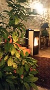 Monte Degli Elci B&B
