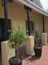Hotel Omas Home