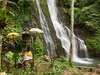 Bed & Breakfast Gunung Paradis Retreat