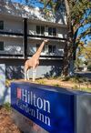 Hotel Hilton Garden Inn Davis Downtown