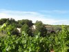 Villa G?te Bastide Sainte Trinide