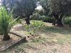 Villa G?te Bastide Sainte Trinide