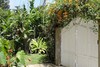 Hotel Vi-la Homestay Caf�