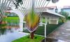 Apartamento No Villa H�pica Flat E Club
