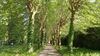 Bed & Breakfast Domaine De Bramefaon