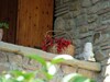 Agroturismo Borgo Del Senatore