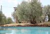 Apartamento Settignano Tuscany Homes