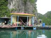 White Dolphin Cruise