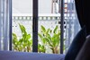 Hotel The Seaton House Phuket