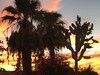 Historic Coronado Motor Hotel