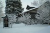 Cocoa Cottage Bed & Breakfast