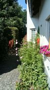 Pension Zum Dehmsee