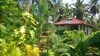 Hotel Good Karma Ayurvedic Resort