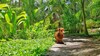 Hotel Good Karma Ayurvedic Resort